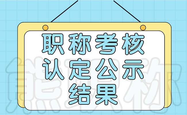 职称考核认定公示结果